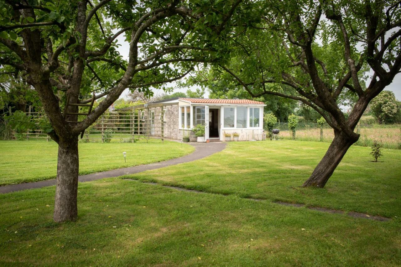 The Studio Somerton  Dış mekan fotoğraf